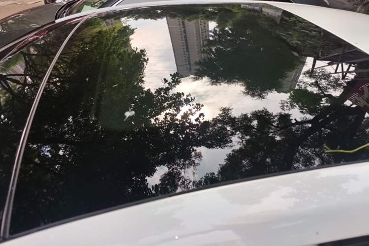 Used Ford Focus 2019 Sedan EcoBoost 125 Automatic Trendy Model China V Standard Roof