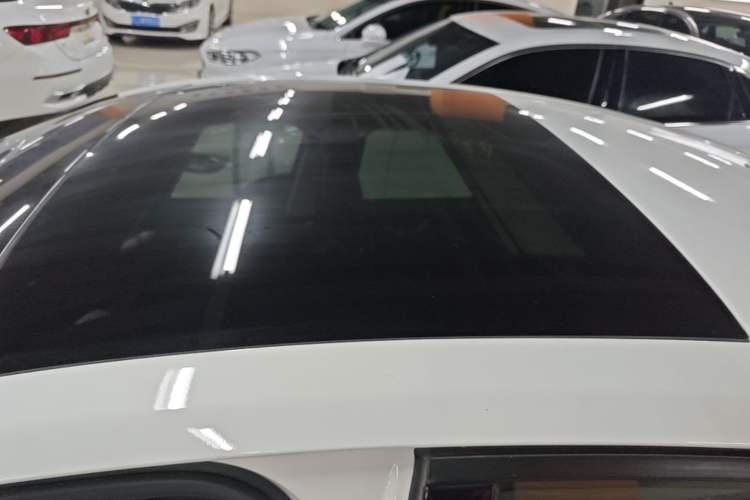 Used Ford Focus 2019 Sedan EcoBoost 180 Automatic Trend Edition Roof