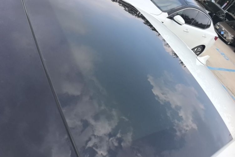 Used Ford Focus 2019 Sedan EcoBoost 180 Automatic Trend Edition Roof