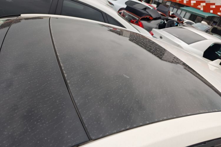 Used Ford Focus 2019 Hatchback EcoBoost 180 Automatic Trendy Model Roof