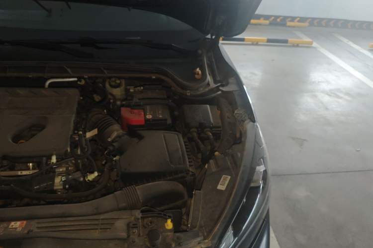 Used Ford Focus 2020 Hatchback EcoBoost 180 Automatic ST Line Engine Bay Left