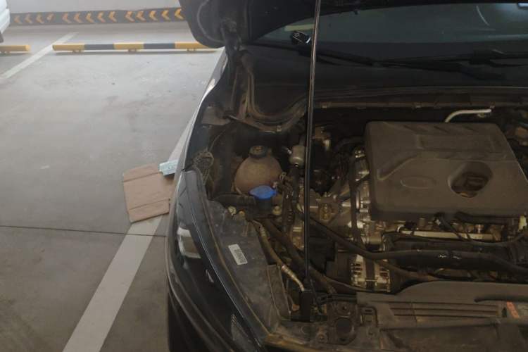 Used Ford Focus 2020 Hatchback EcoBoost 180 Automatic ST Line Engine Bay Right