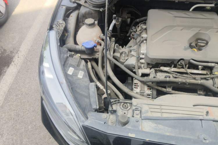Used Ford Focus 2020 Sedan EcoBoost 180 Automatic ST Line Engine Bay Right