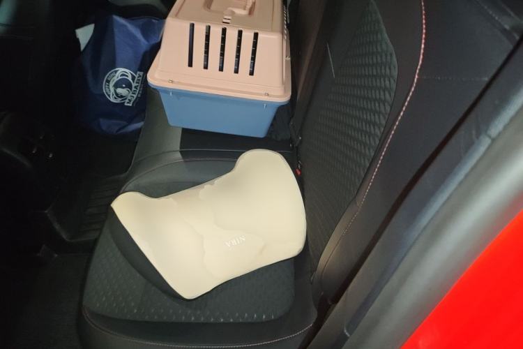 Used Ford Focus 2020 Hatchback EcoBoost 180 Automatic ST Line Left Rear Seat