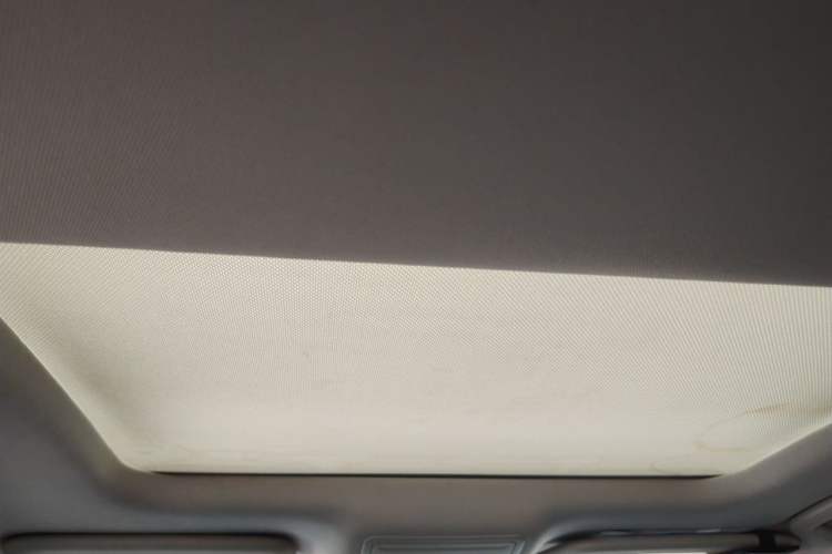 Used Ford Focus 2020 Sedan EcoBoost 180 Automatic Trend Edition Headliner