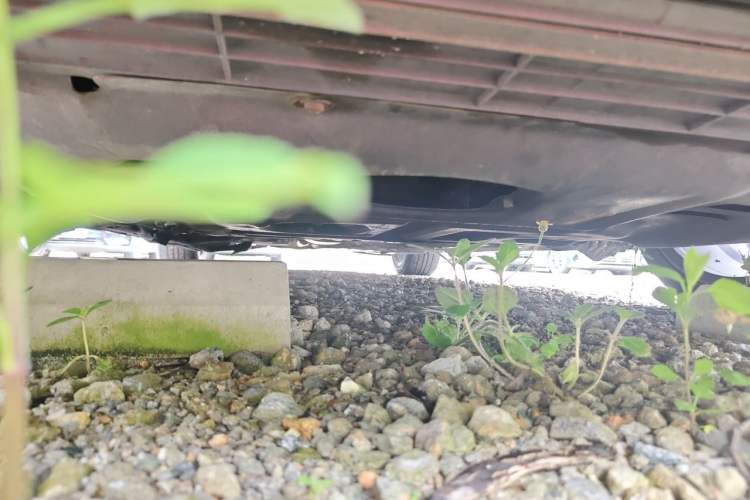 Used Ford Focus 2020 Sedan EcoBoost 180 Automatic ST Line Chassis Front