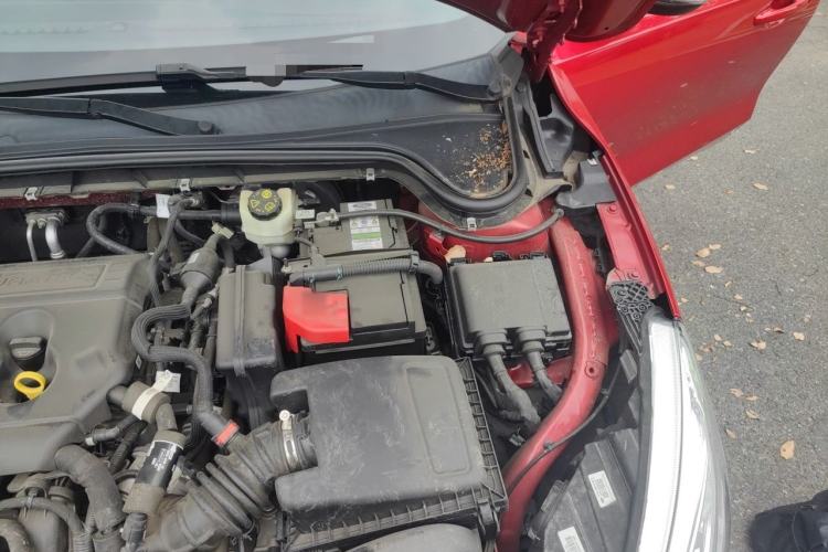 Used Ford Focus 2020 Hatchback 1.5L Automatic Sharp Edition Engine Bay Left