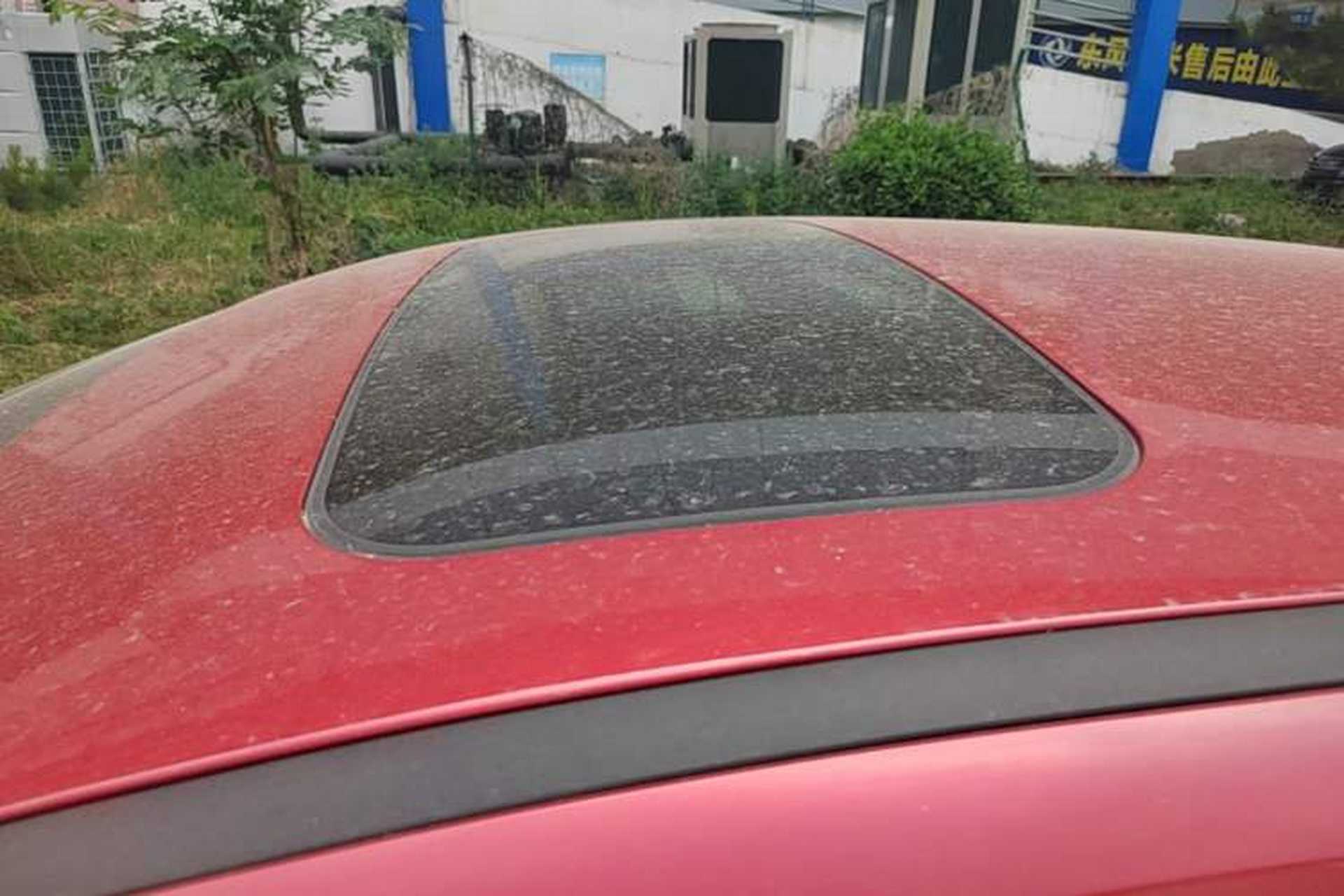 Used Ford Focus 2020 Hatchback Classic 1.5L Automatic Trendy Model Roof