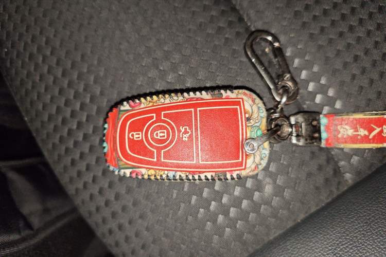 Used Ford Focus 2020 Sedan EcoBoost 180 Automatic ST Line Vehicle Key
