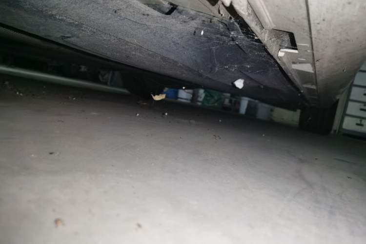 Used Ford Focus 2020 Sedan EcoBoost 180 Automatic Trend Edition Chassis Front Left