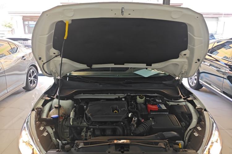 Used Ford Focus 2020 Hatchback 1.5L Automatic Sharp Edition Engine Bay