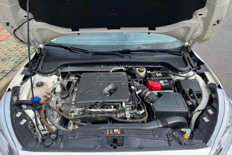Used Ford Focus 2020 Hatchback EcoBoost 180 Automatic Trend Edition Engine Bay