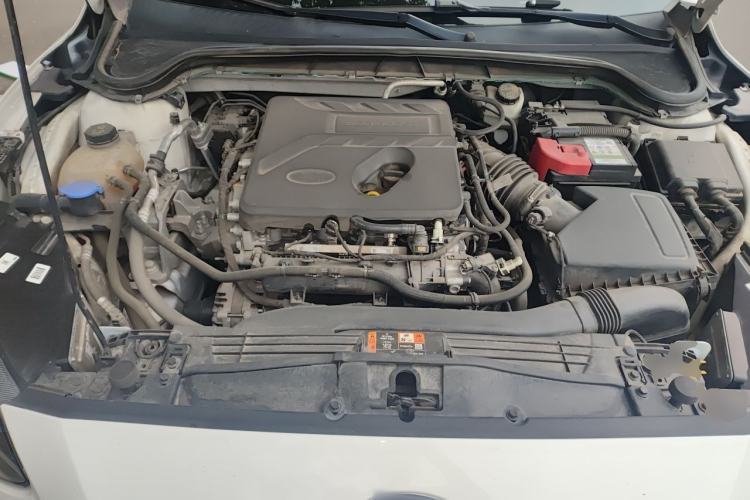 Used Ford Focus 2020 Hatchback EcoBoost 180 Automatic ST Line Engine Bay