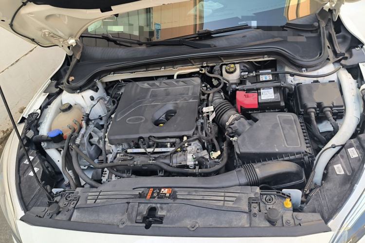Used Ford Focus 2020 Sedan EcoBoost 180 Automatic Trend Edition Engine Bay