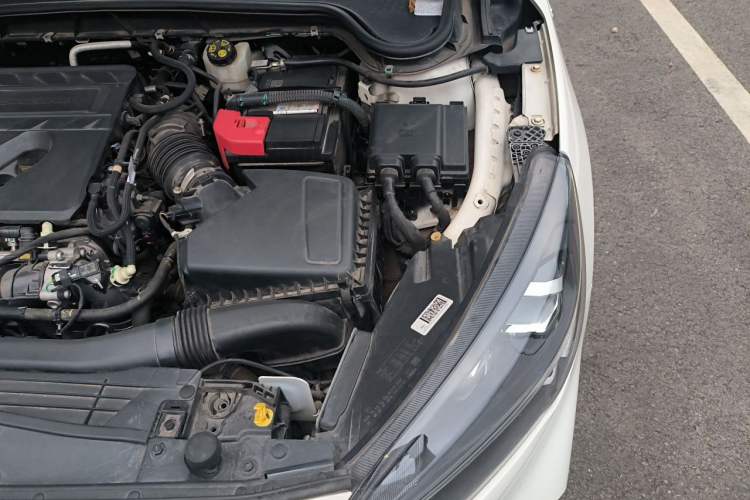 Used Ford Focus 2020 Sedan EcoBoost 180 Automatic ST Line Engine Bay Left