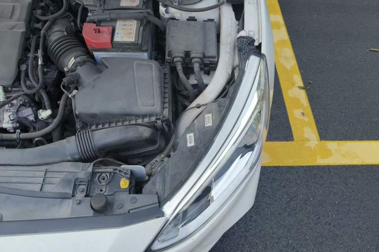 Used Ford Focus 2020 Hatchback EcoBoost 180 Automatic Trend Edition Engine Bay Left