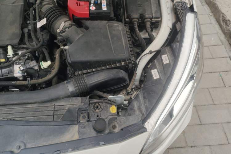 Used Ford Focus 2020 Hatchback EcoBoost 180 Automatic Trend Edition Engine Bay Left
