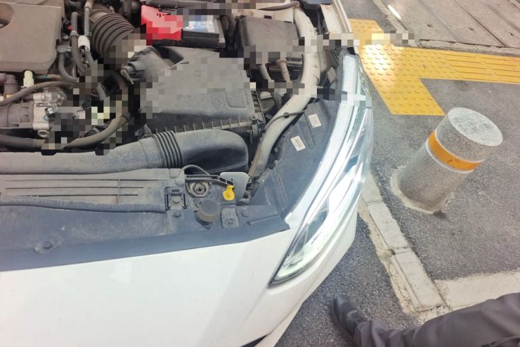Used Ford Focus 2020 Sedan EcoBoost 180 Automatic Trend Edition Engine Bay Left