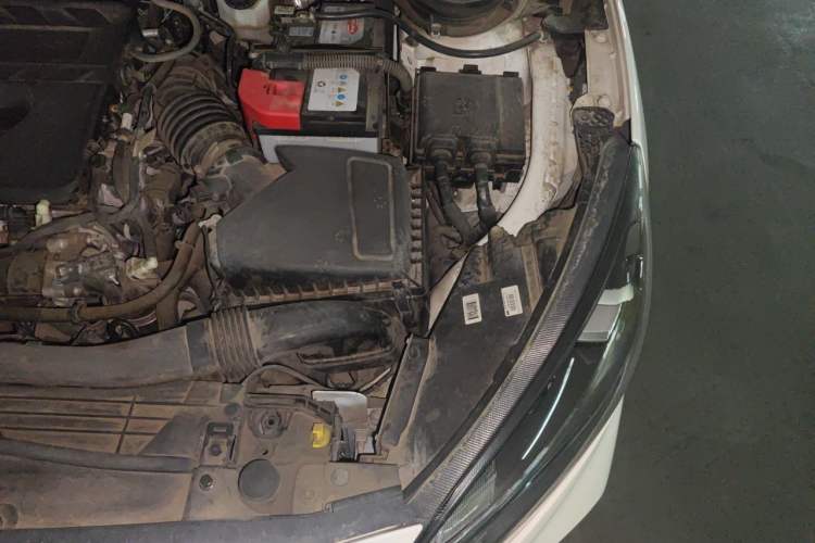 Used Ford Focus 2020 Hatchback EcoBoost 180 Automatic ST Line Engine Bay Left