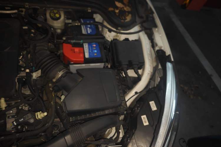 Used Ford Focus 2020 Hatchback EcoBoost 180 Automatic Trend Edition Engine Bay Left