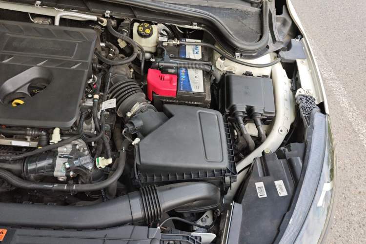 Used Ford Focus 2020 Sedan EcoBoost 180 Automatic ST Line Engine Bay Left