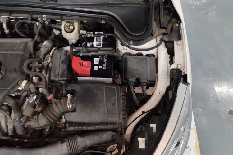 Used Ford Focus 2020 Sedan 1.5L Automatic Sharp Edition Engine Bay Left