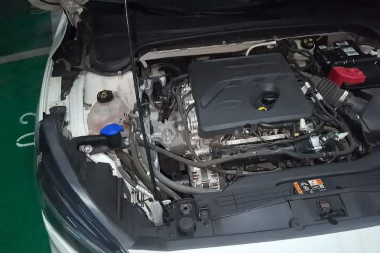 Used Ford Focus 2020 Sedan EcoBoost 180 Automatic Trend Edition Engine Bay Right