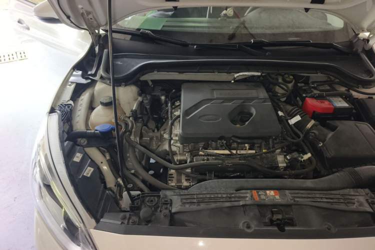 Used Ford Focus 2020 Hatchback EcoBoost 180 Automatic Trend Edition Engine Bay Right