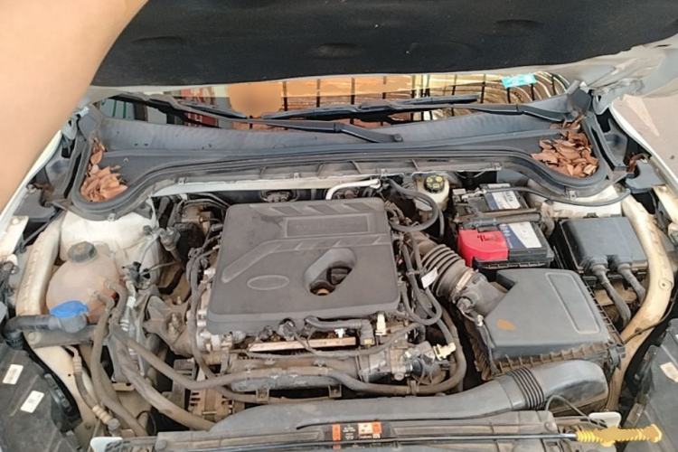 Used Ford Focus 2020 Sedan EcoBoost 180 Automatic Trend Edition Engine Bay