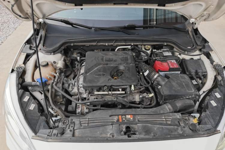 Used Ford Focus 2020 Hatchback EcoBoost 180 Automatic Trend Edition Engine Bay