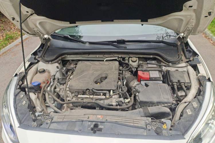 Used Ford Focus 2020 Hatchback EcoBoost 180 Automatic Trend Edition Engine Bay