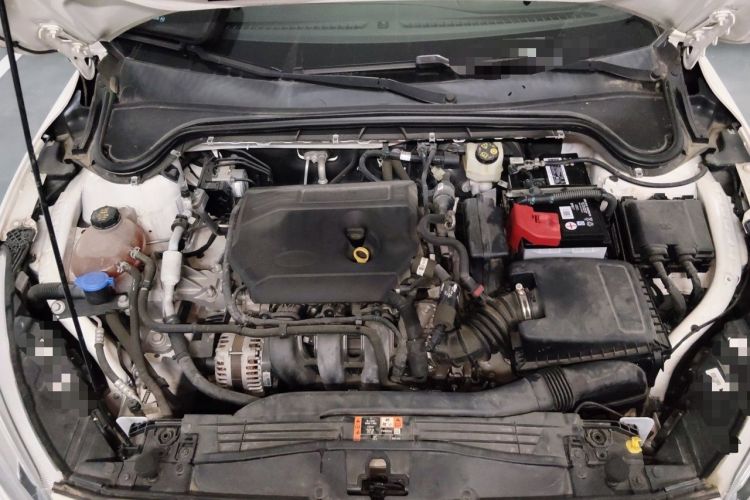 Used Ford Focus 2020 Sedan 1.5L Automatic Sharp Edition Engine Bay