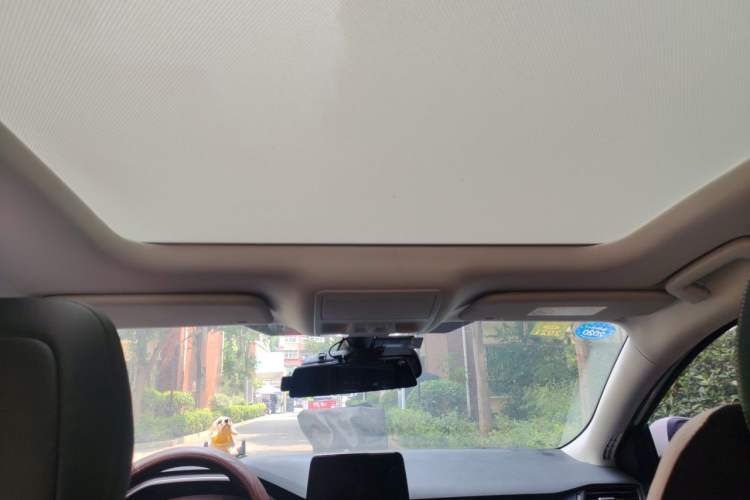 Used Ford Focus 2020 Sedan EcoBoost 180 Automatic Trend Edition Headliner