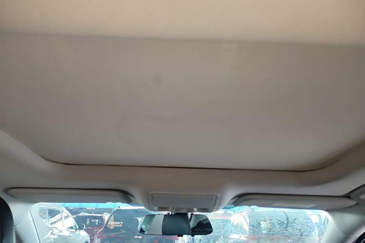 Used Ford Focus 2020 Sedan EcoBoost 180 Automatic Trend Edition Headliner