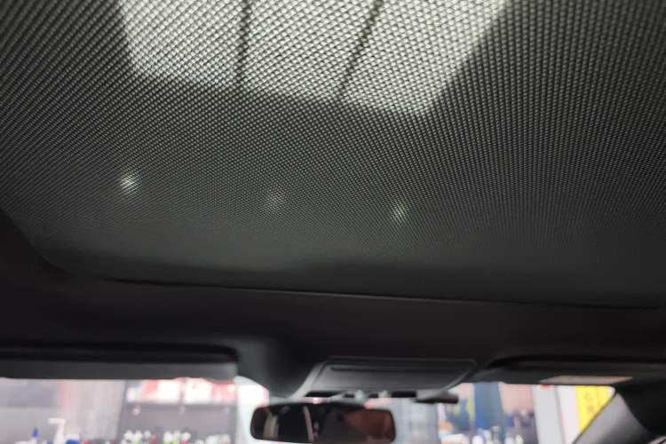 Used Ford Focus 2020 Sedan EcoBoost 180 Automatic Titanium Edition Headliner