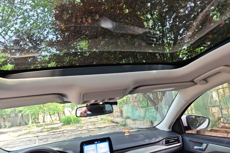 Used Ford Focus 2020 Sedan EcoBoost 180 Automatic Trend Edition Headliner