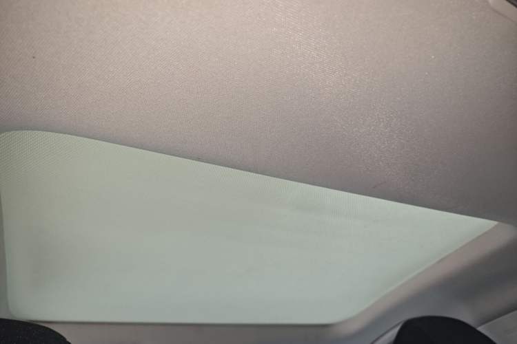 Used Ford Focus 2020 Sedan EcoBoost 180 Automatic Trend Edition Headliner