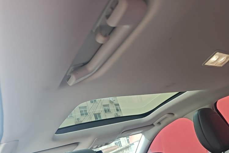 Used Ford Focus 2020 Sedan EcoBoost 180 Automatic Trend Edition Headliner