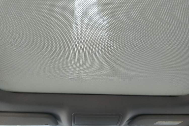 Used Ford Focus 2020 Sedan EcoBoost 180 Automatic Trend Edition Headliner