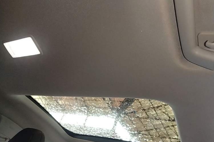 Used Ford Focus 2020 Sedan EcoBoost 180 Automatic Trend Edition Headliner