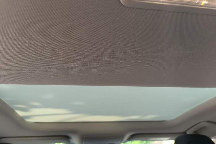 Used Ford Focus 2020 Sedan EcoBoost 180 Automatic Trend Edition Headliner