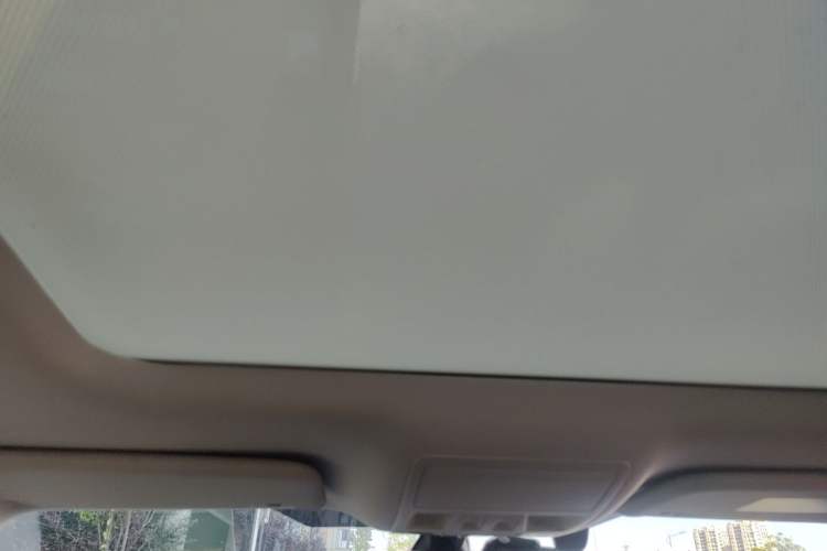 Used Ford Focus 2020 Sedan EcoBoost 180 Automatic Trend Edition Headliner