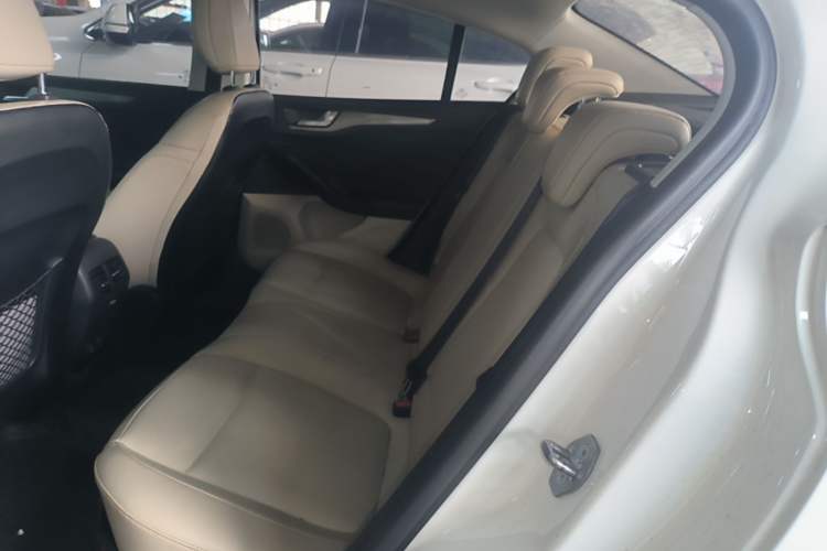 Used Ford Focus 2020 Sedan EcoBoost 180 Automatic Trend Edition Left Rear Seat