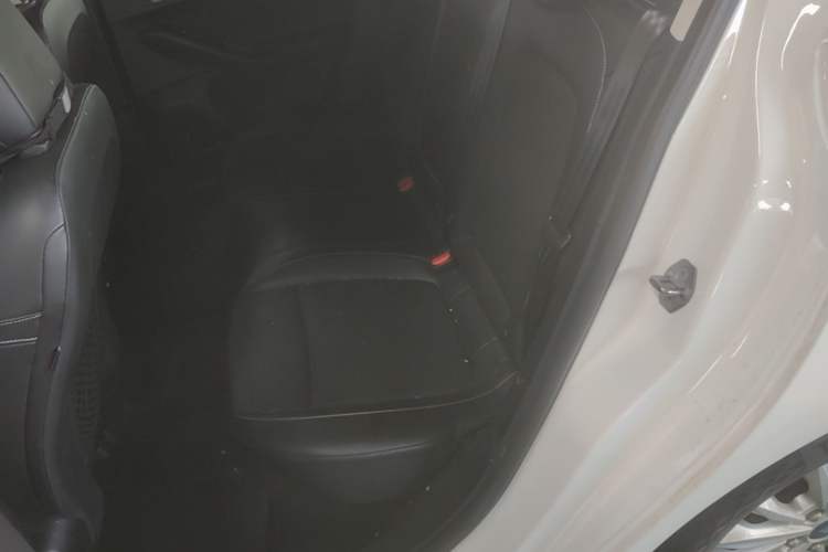 Used Ford Focus 2020 Sedan EcoBoost 180 Automatic Trend Edition Left Rear Seat