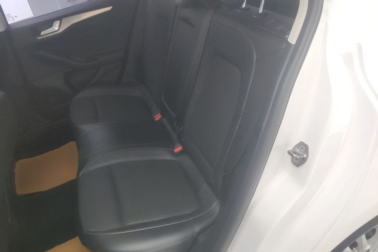 Used Ford Focus 2020 Sedan EcoBoost 180 Automatic Trend Edition Left Rear Seat
