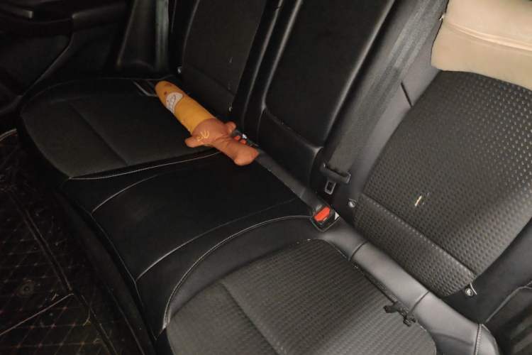 Used Ford Focus 2020 Sedan EcoBoost 180 Automatic Trend Edition Left Rear Seat
