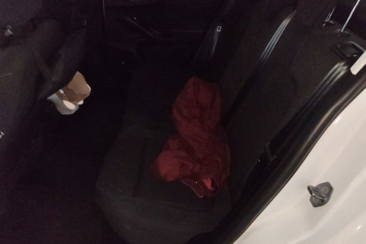 Used Ford Focus 2020 Sedan 1.5L Automatic Sharp Edition Left Rear Seat