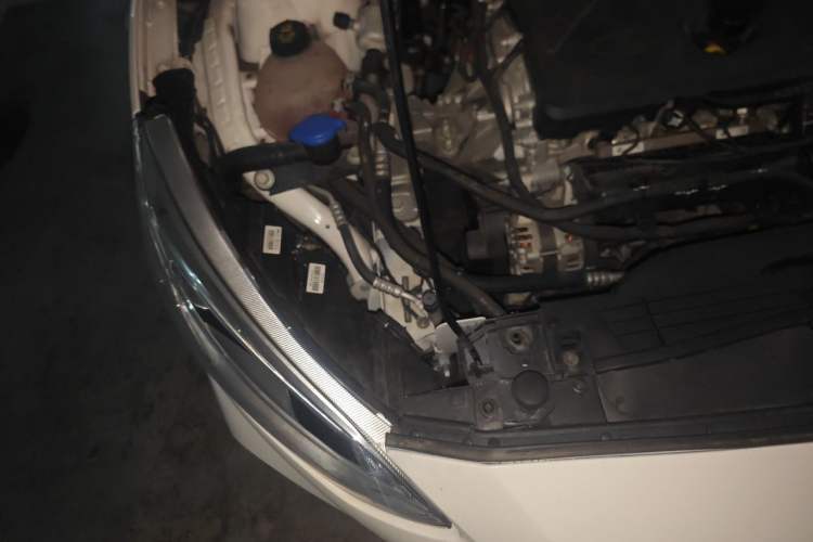 Used Ford Focus 2020 Hatchback EcoBoost 180 Automatic Trend Edition Right Front Headlight