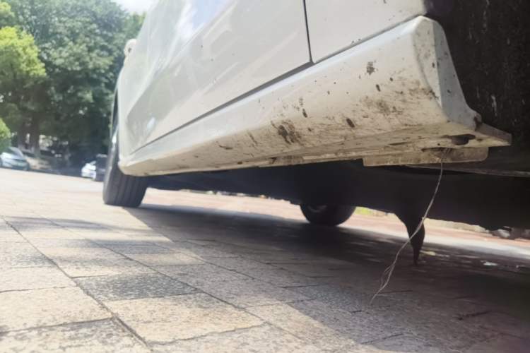 Used Ford Focus 2020 Hatchback 1.5L Automatic Sharp Edition Right Side Sill