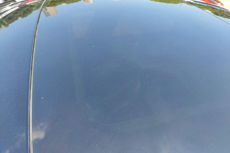 Used Ford Focus 2020 Sedan EcoBoost 180 Automatic ST Line Roof